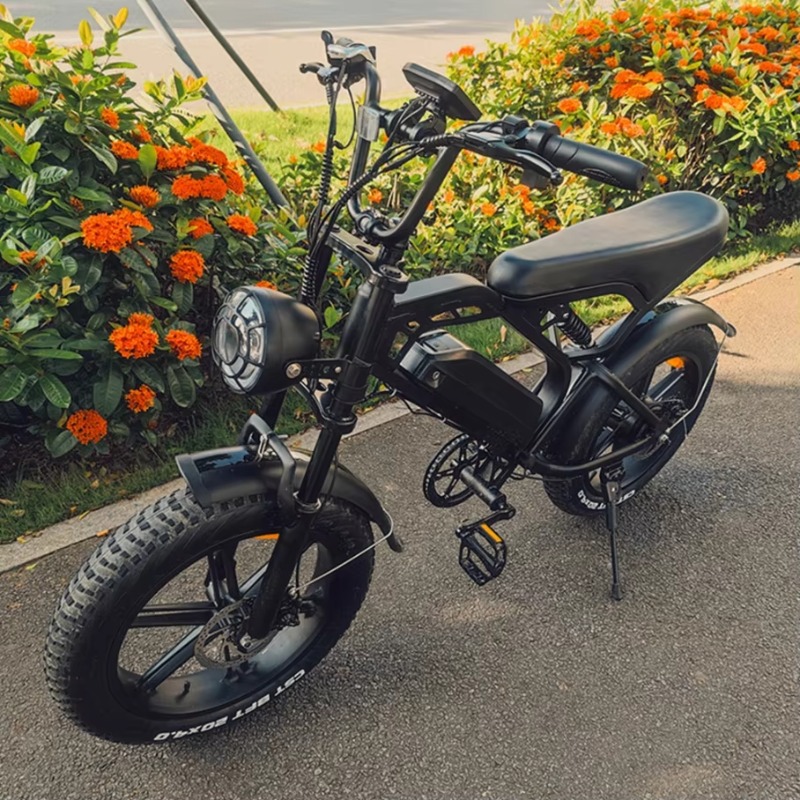 YTYIN 2024 Made In China Facto - Electric Scooter 评论和价格