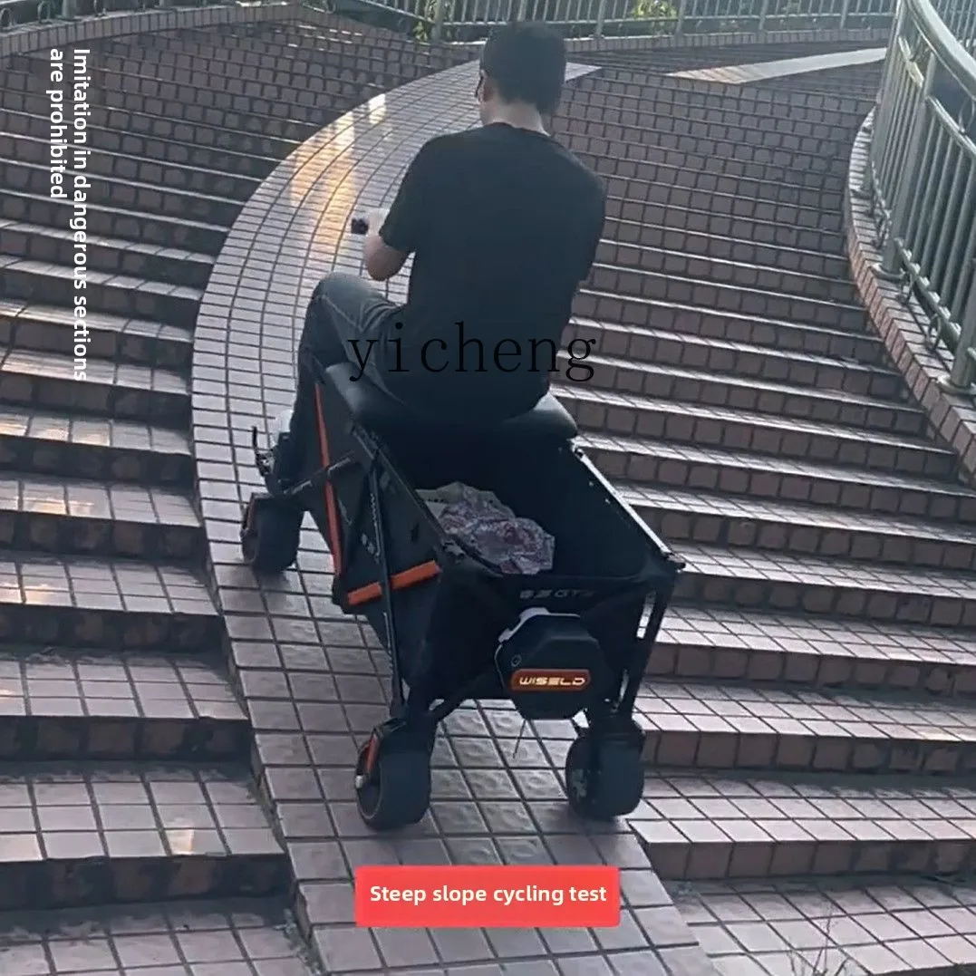 TQH camper outdoor riding mope - Folding Electric Scooter 评论和价格