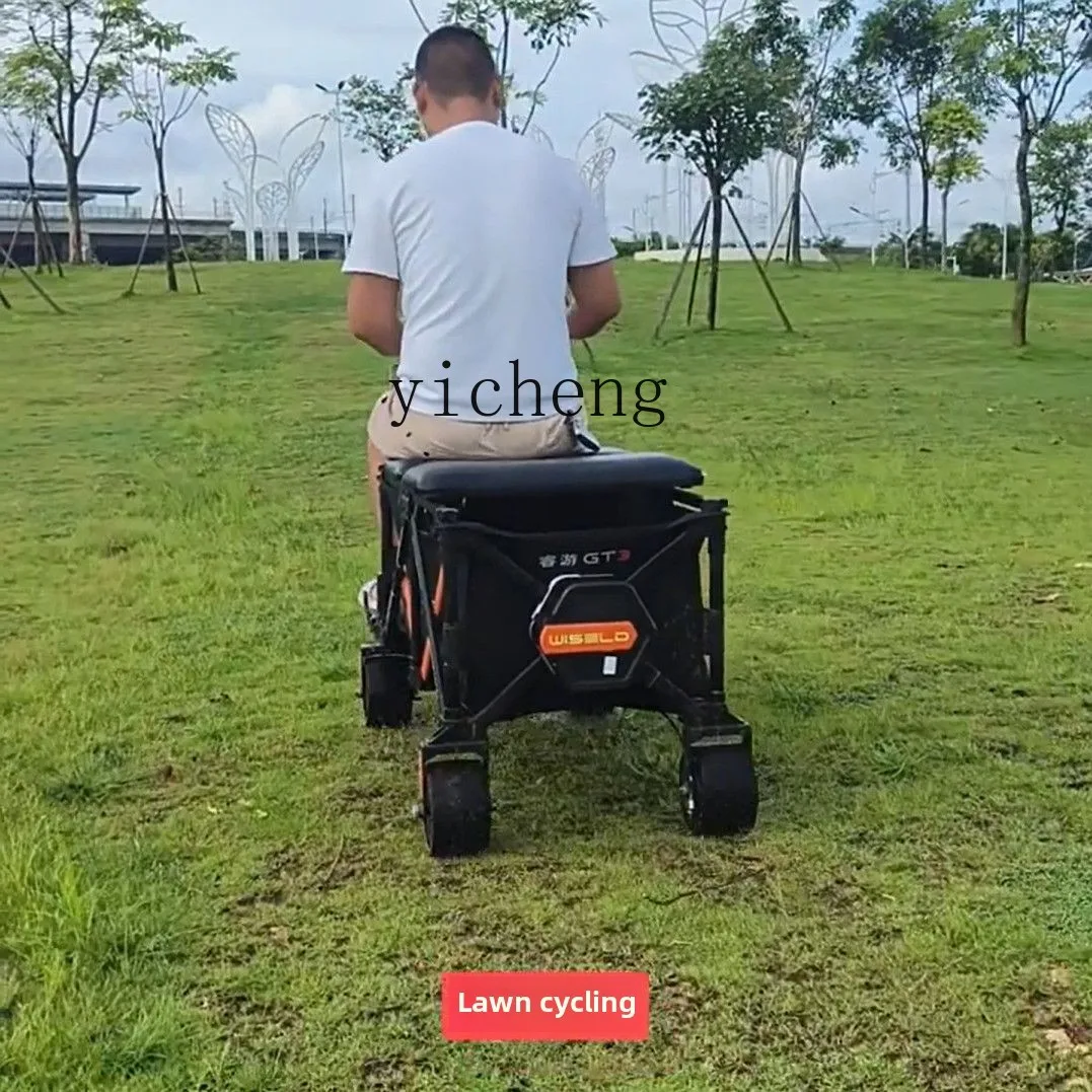 TQH camper outdoor riding mope - Folding Electric Scooter 评论和价格