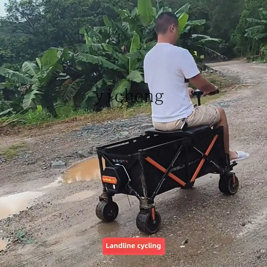 TQH camper outdoor riding mope - Folding Electric Scooter 评论和价格