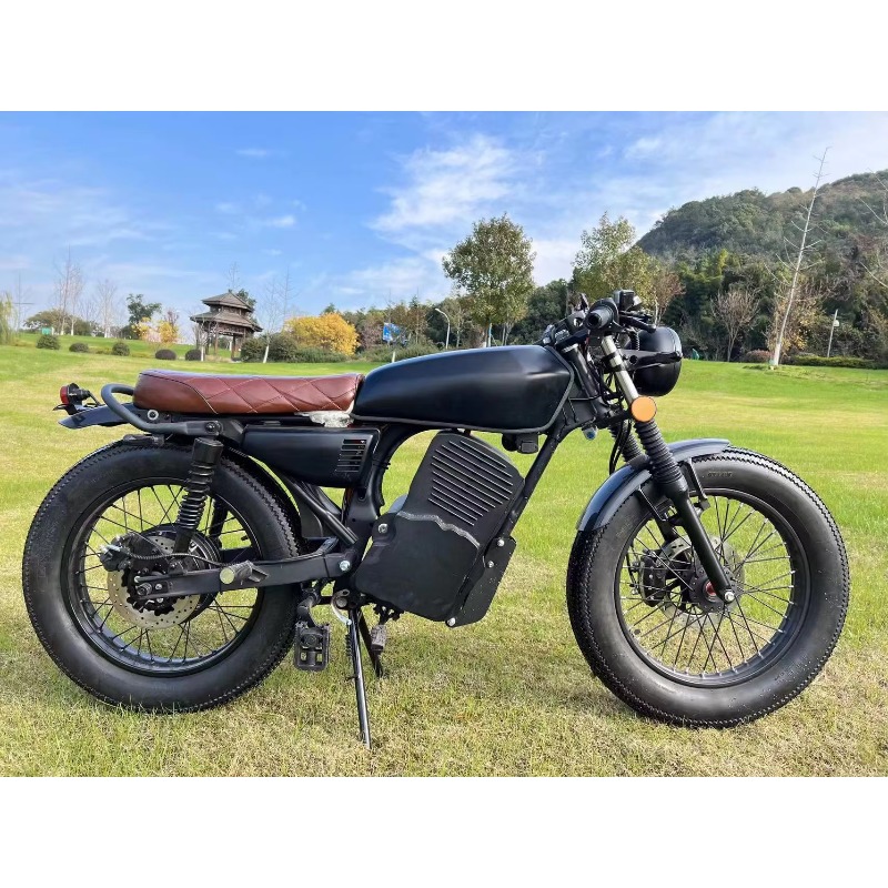 Lvyuan China Factory Direct Sa - Electric Scooter Adults 评论和价格