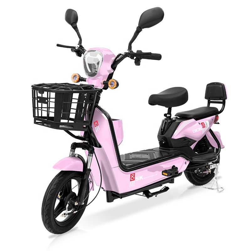 YTYIN 350W Electric City Bike  - Folding Electric Scooter 评论和价格